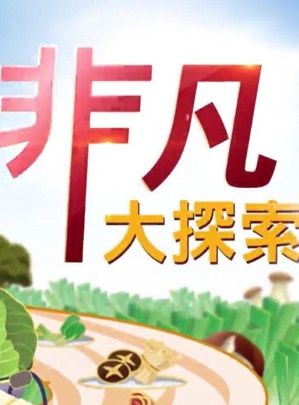 山东青岛平度05年骚母狗刘一路出轨被曝光与闺蜜旅游勾搭大屌体育生狂干后入 - 极品女星